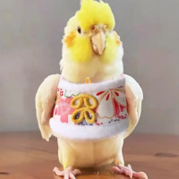 【OLYBI】 Pet Bird Clothes – Stylish Outfits for Parrots & Cockatiels, Comfortable & Durable
