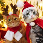 【PUYOSU】 New Christmas Pet Hat, Headband, Hair Accessories & Scarf Set – Cute Santa Claus Design for Dogs & Cats