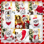 【PUYOSU】 New Christmas Pet Hat, Headband, Hair Accessories & Scarf Set – Cute Santa Claus Design for Dogs & Cats