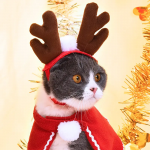 【PUYOSU】 New Christmas Pet Hat, Headband, Hair Accessories & Scarf Set – Cute Santa Claus Design for Dogs & Cats